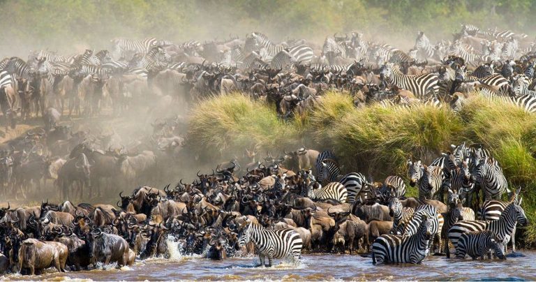 3  Days Wildebeest Migration Safari